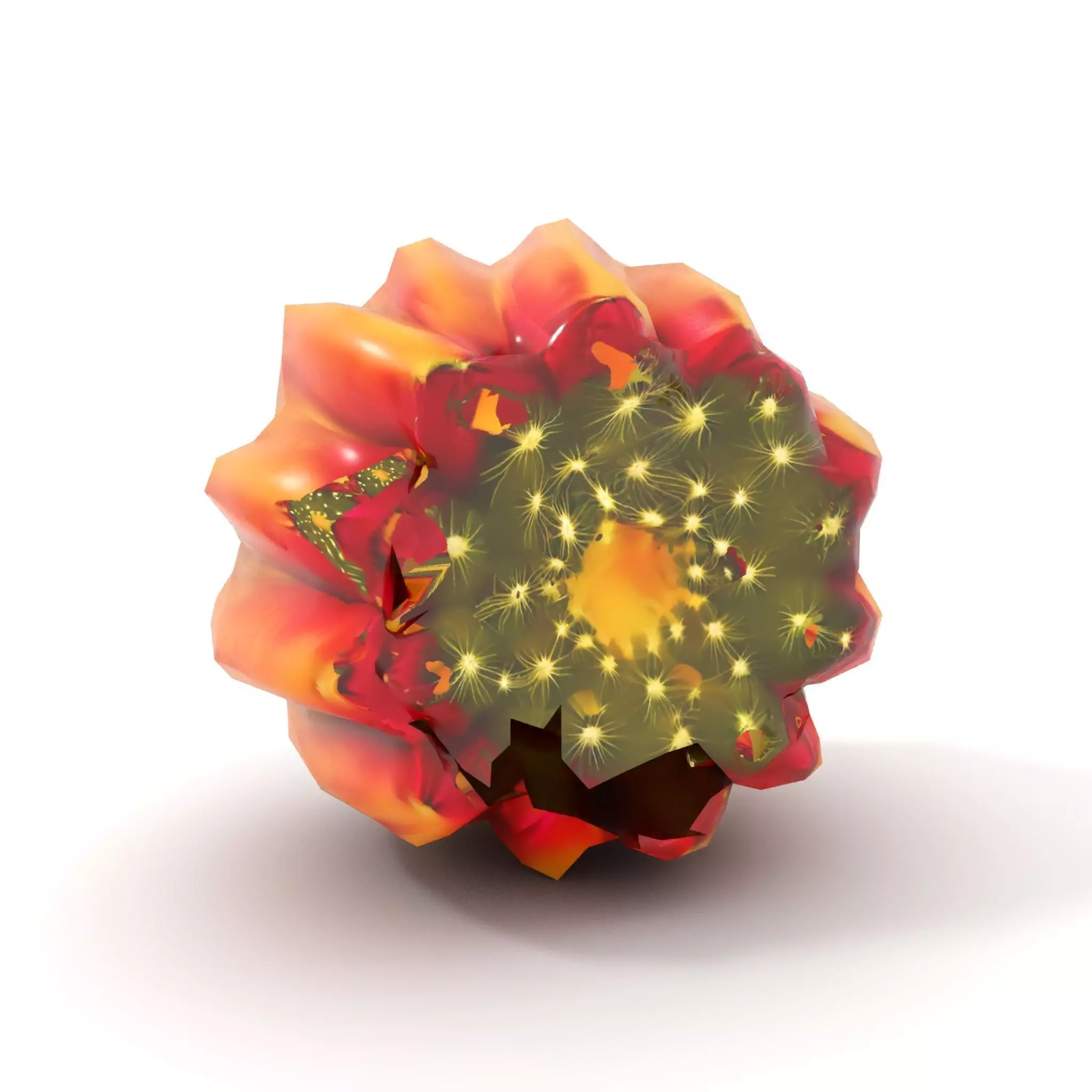 Starburst Cactus model pack Low-poly 3D model_7