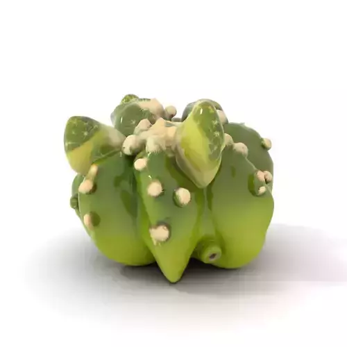 Green Barrel Cactus model pack Low-poly 3D model