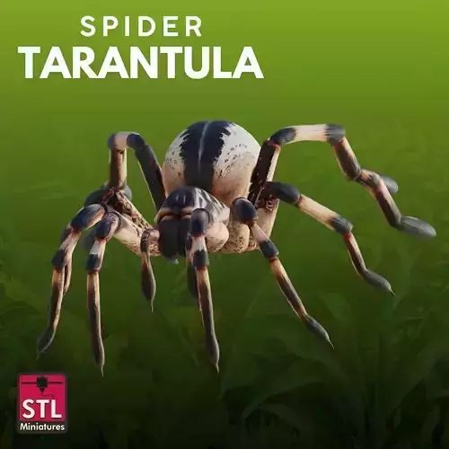 Tarantula STL  3D Model 3D print model