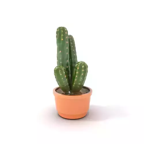 Spiky Green Cactus model pack