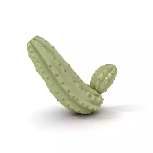 Green Cactus model pack Low-poly 3D model