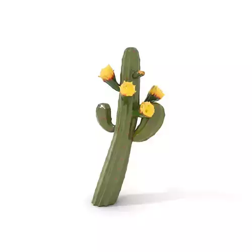 Floral Cactus model pack Low-poly 3D model