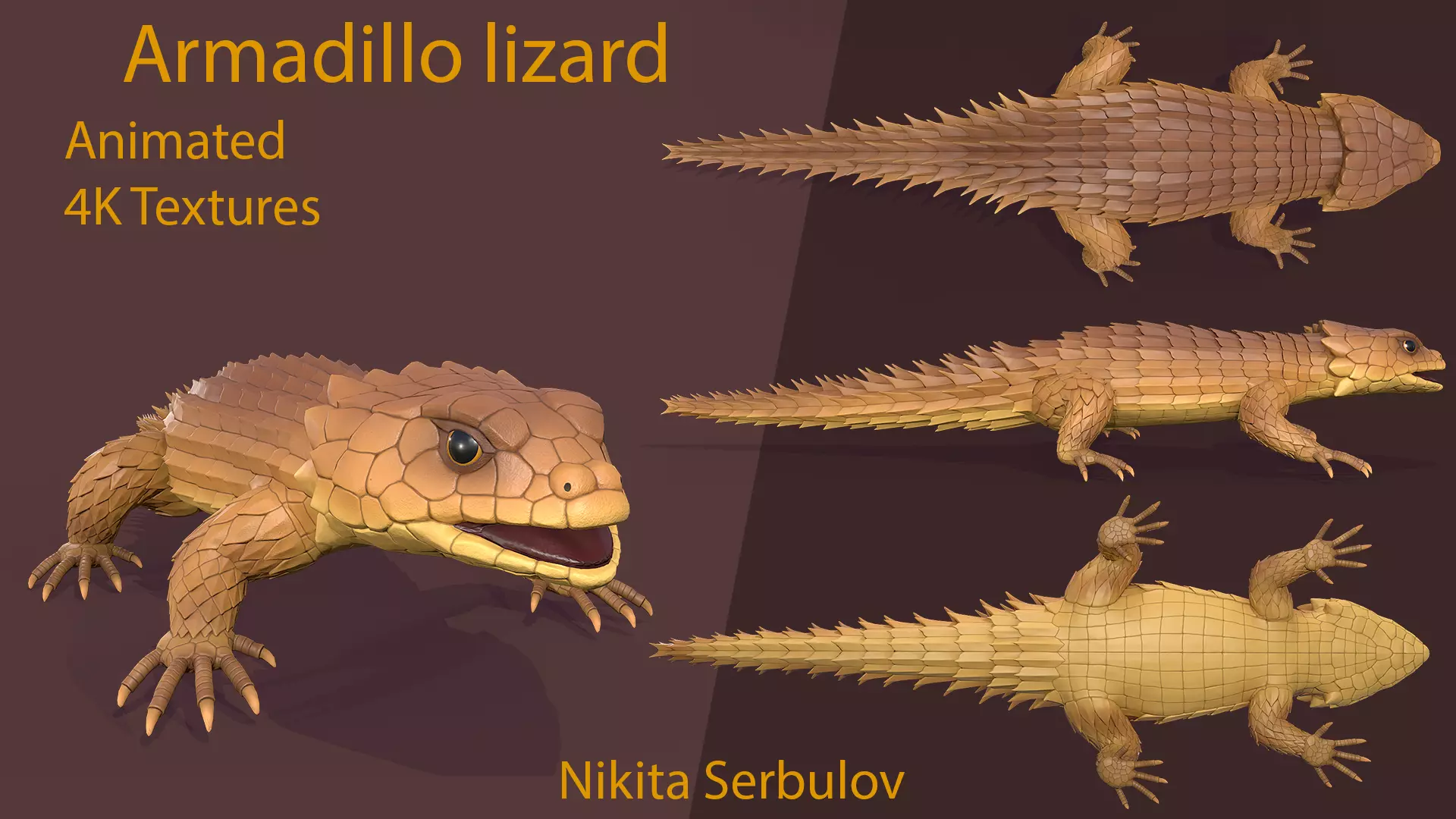 Armadillo lizard  Handpainted  GAME READY Low-poly 3D model_0