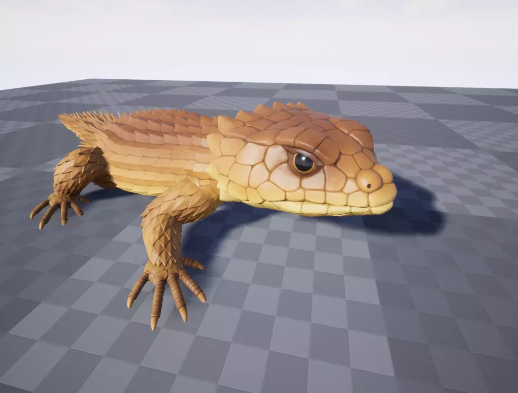 Armadillo lizard  Handpainted  GAME READY Low-poly 3D model_11