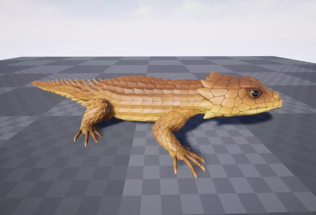 Armadillo lizard  Handpainted  GAME READY Low-poly 3D model_9