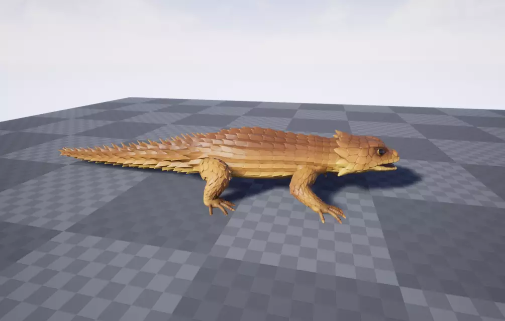 Armadillo lizard  Handpainted  GAME READY Low-poly 3D model_8