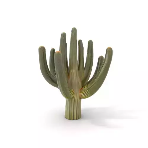 Majestic Cactus model pack Low-poly 3D model