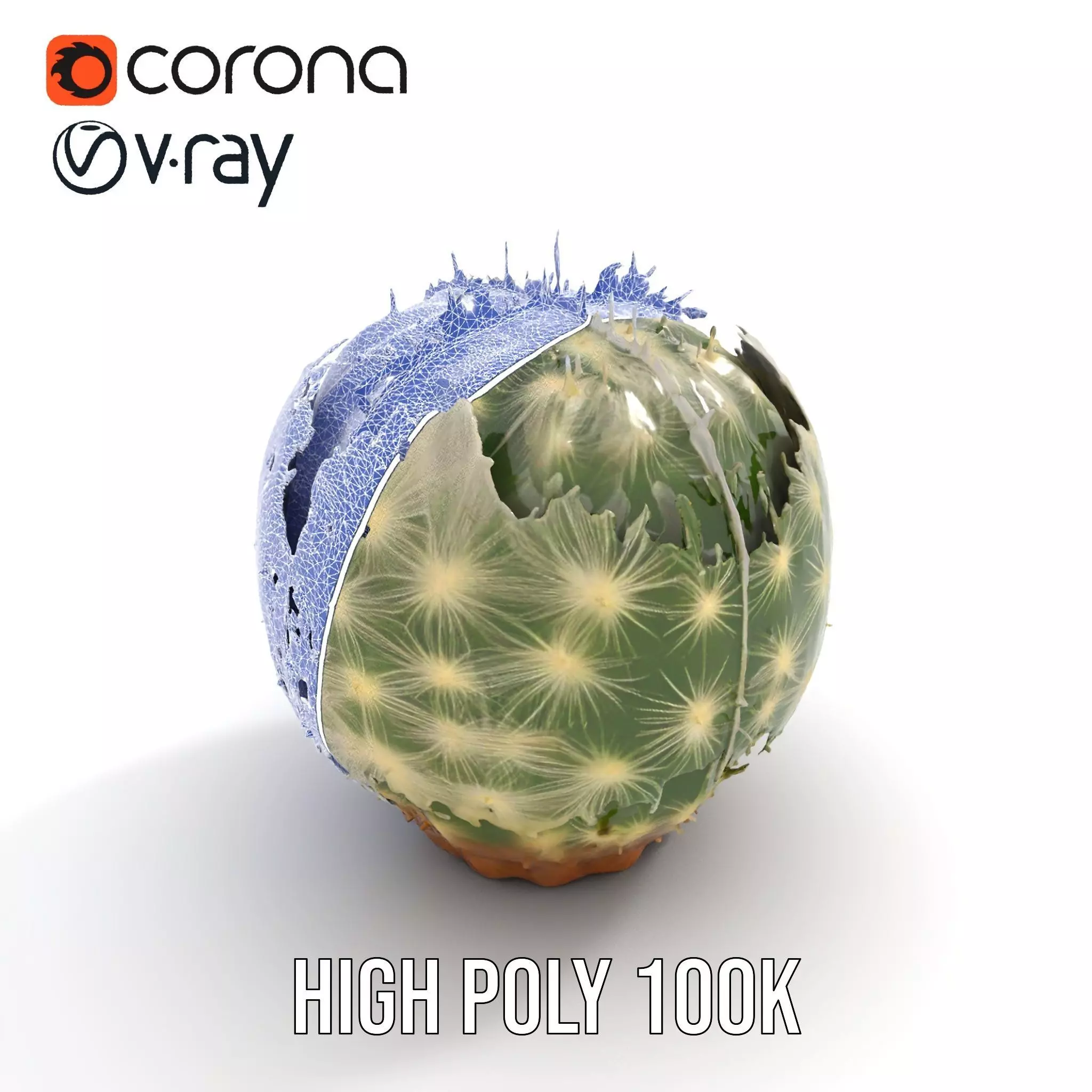 Spiky Green Cactus model pack Low-poly 3D model_22