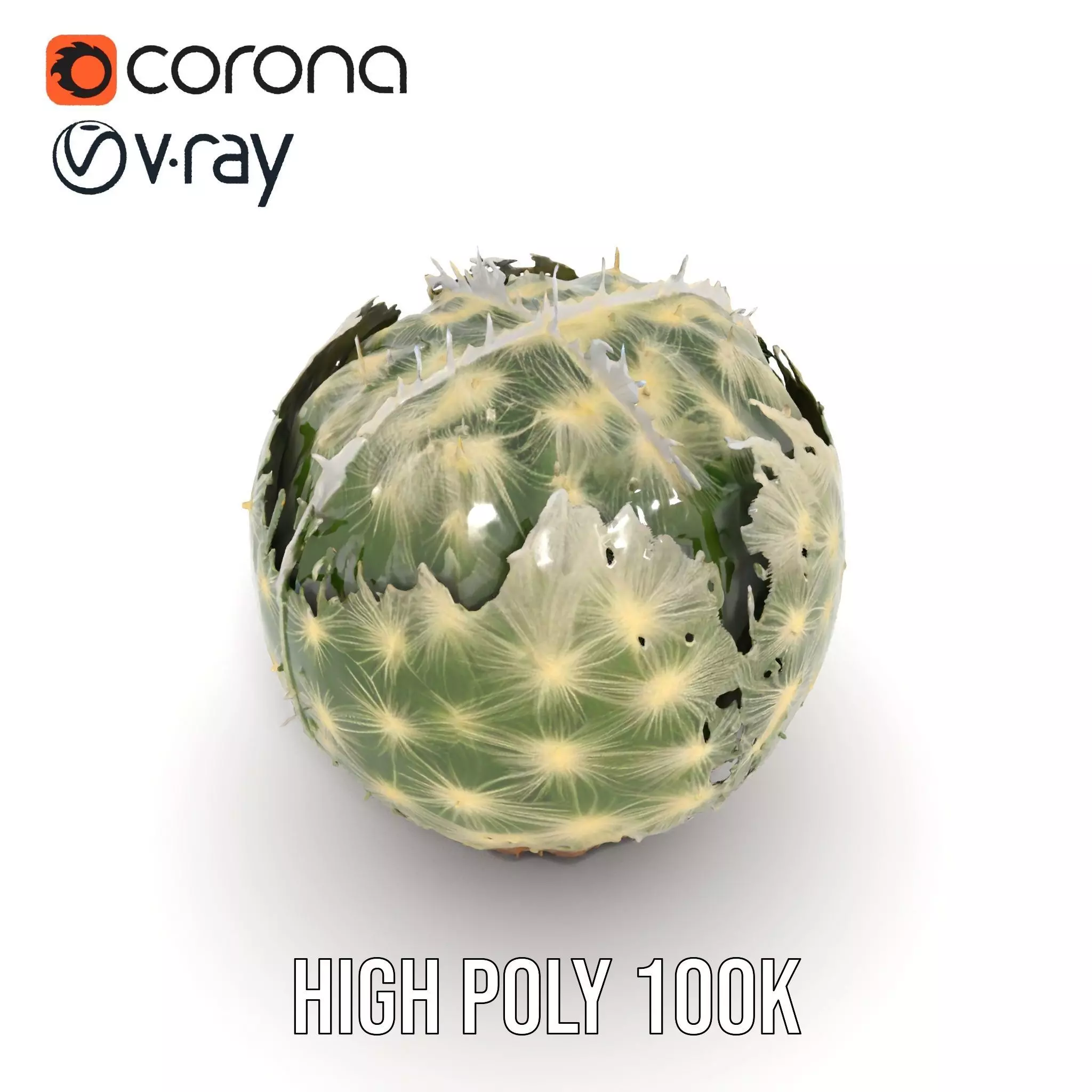 Spiky Green Cactus model pack Low-poly 3D model_23