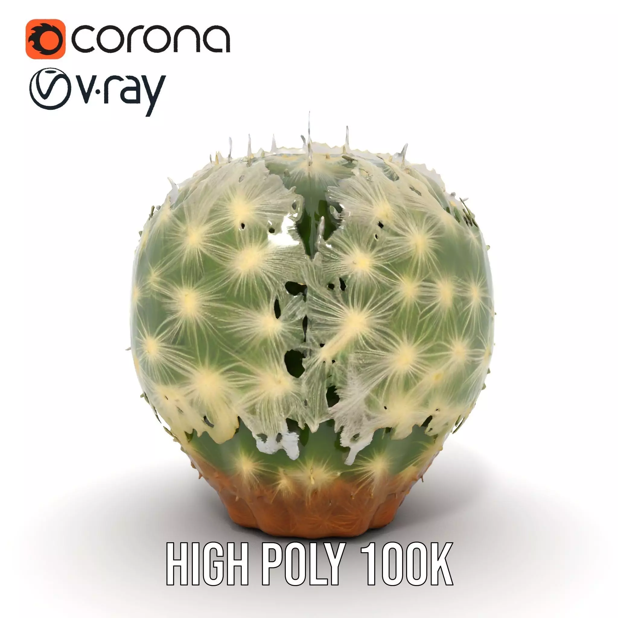 Spiky Green Cactus model pack Low-poly 3D model_5