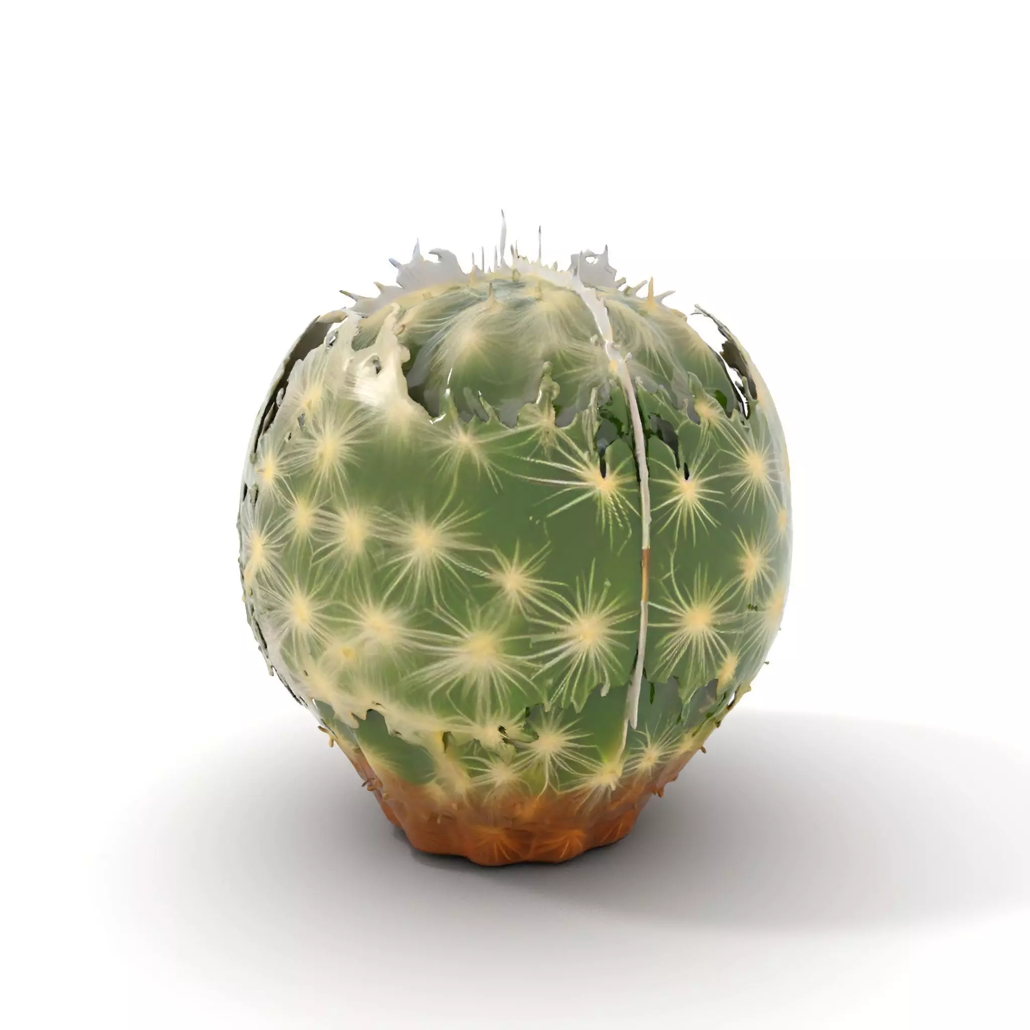 Spiky Green Cactus model pack Low-poly 3D model_0