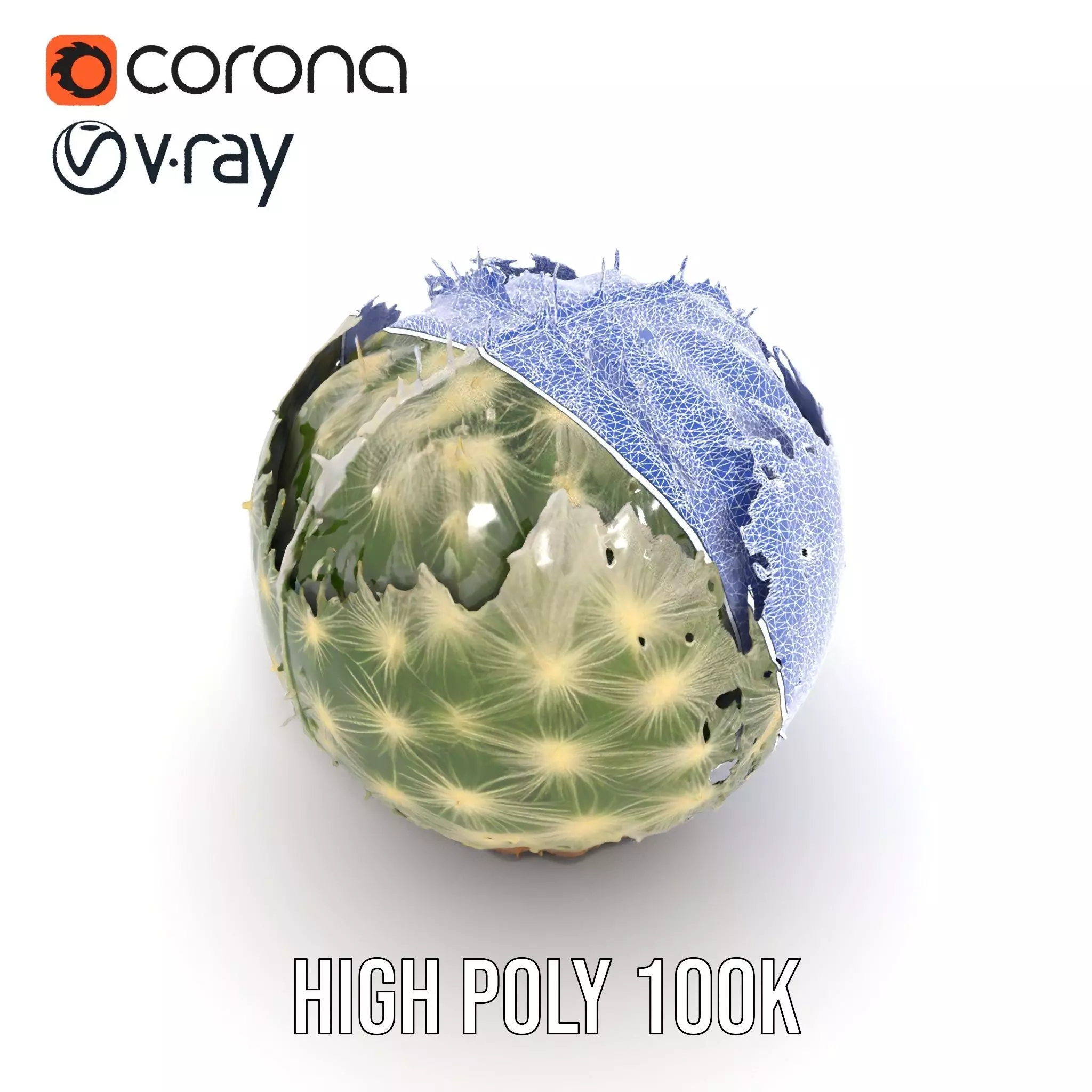 Spiky Green Cactus model pack Low-poly 3D model_18