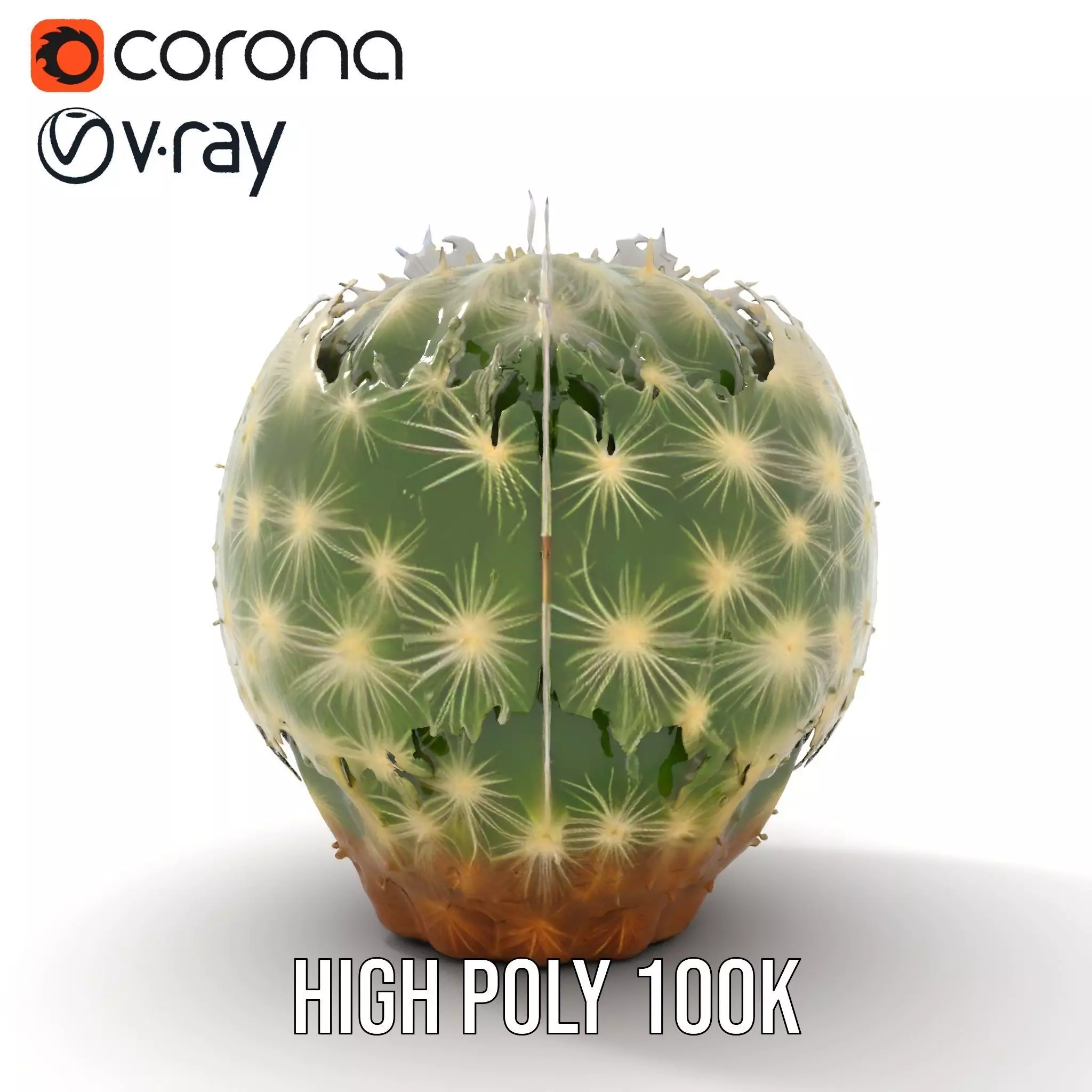 Spiky Green Cactus model pack Low-poly 3D model_25