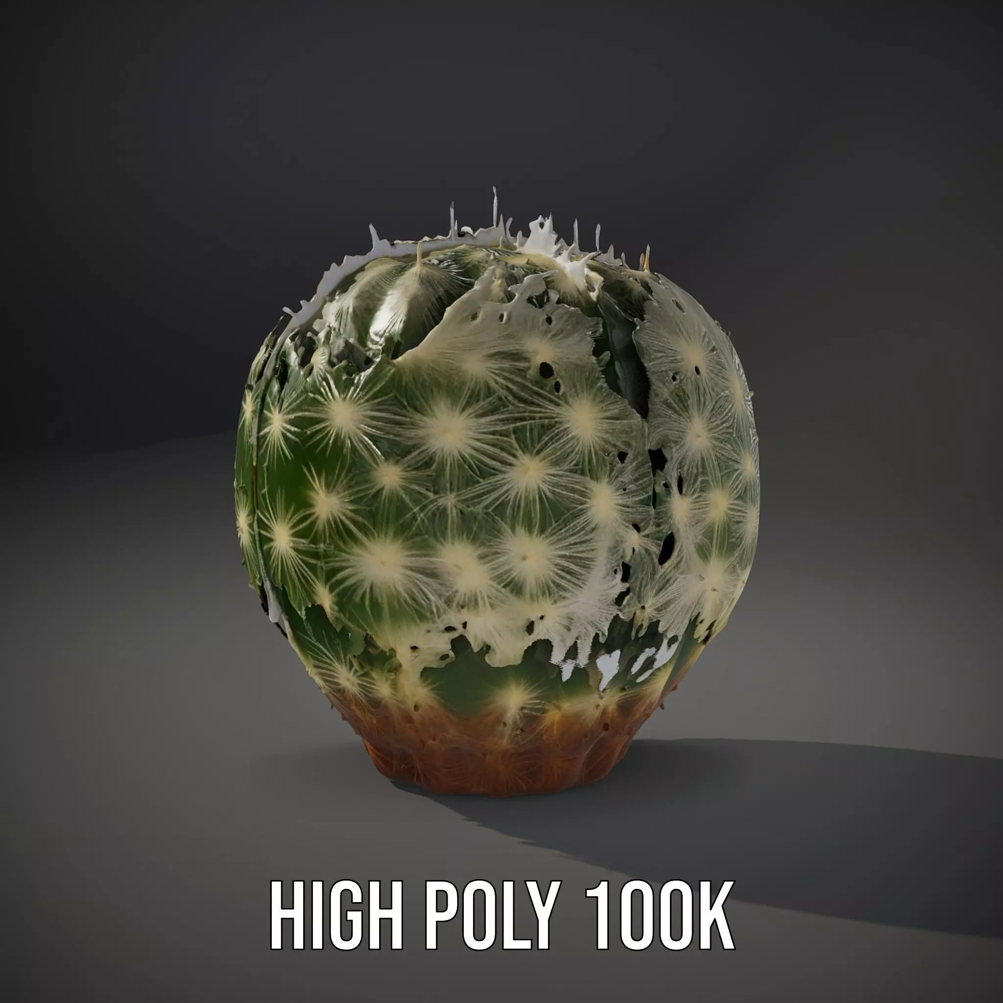 Spiky Green Cactus model pack Low-poly 3D model_10