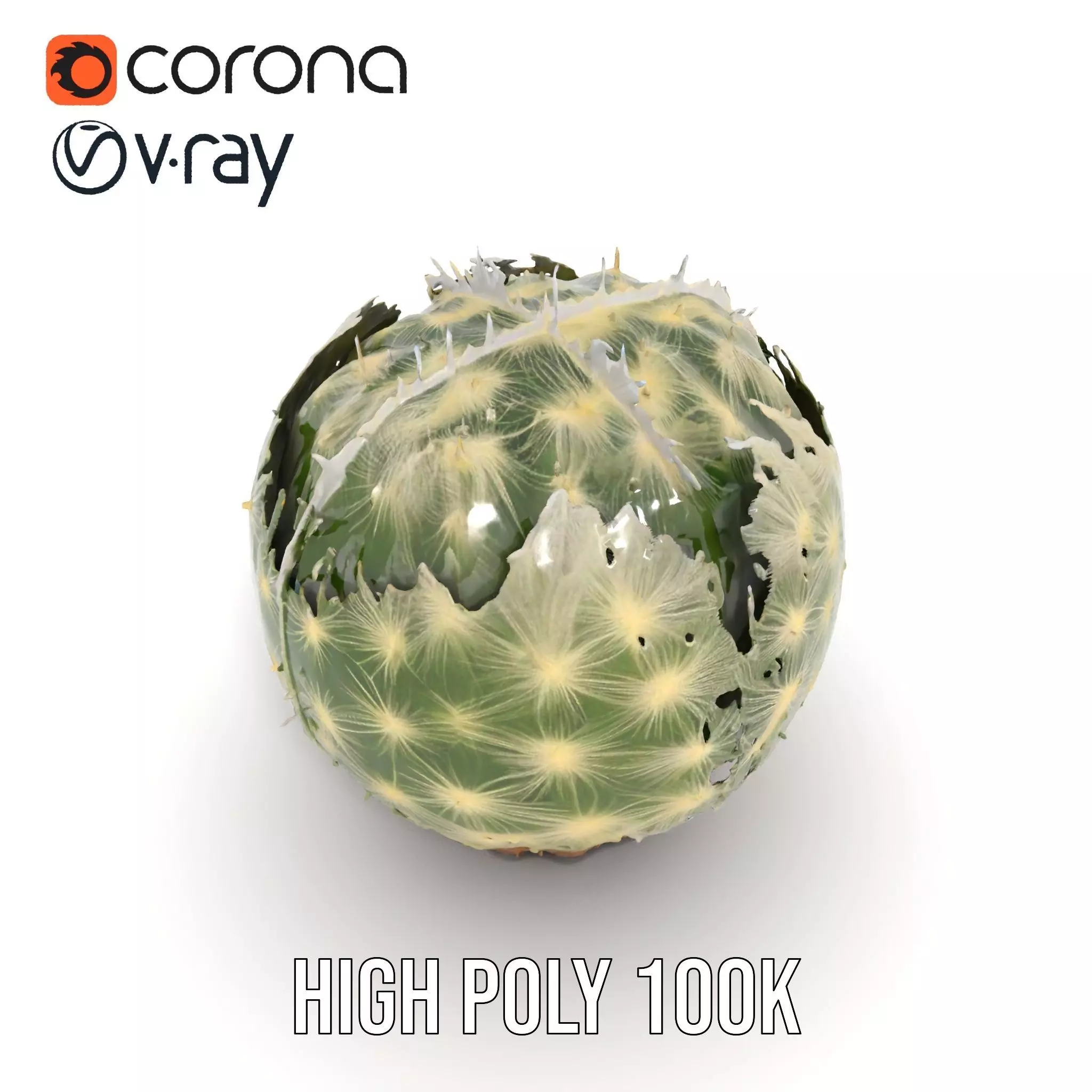 Spiky Green Cactus model pack Low-poly 3D model_31