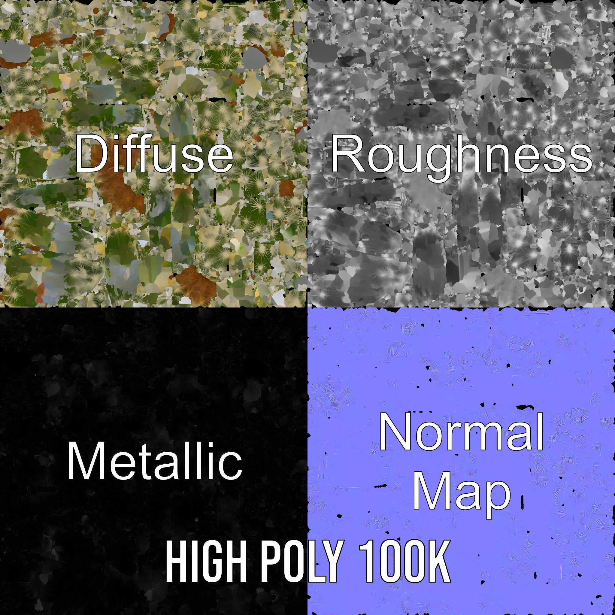 Spiky Green Cactus model pack Low-poly 3D model_3