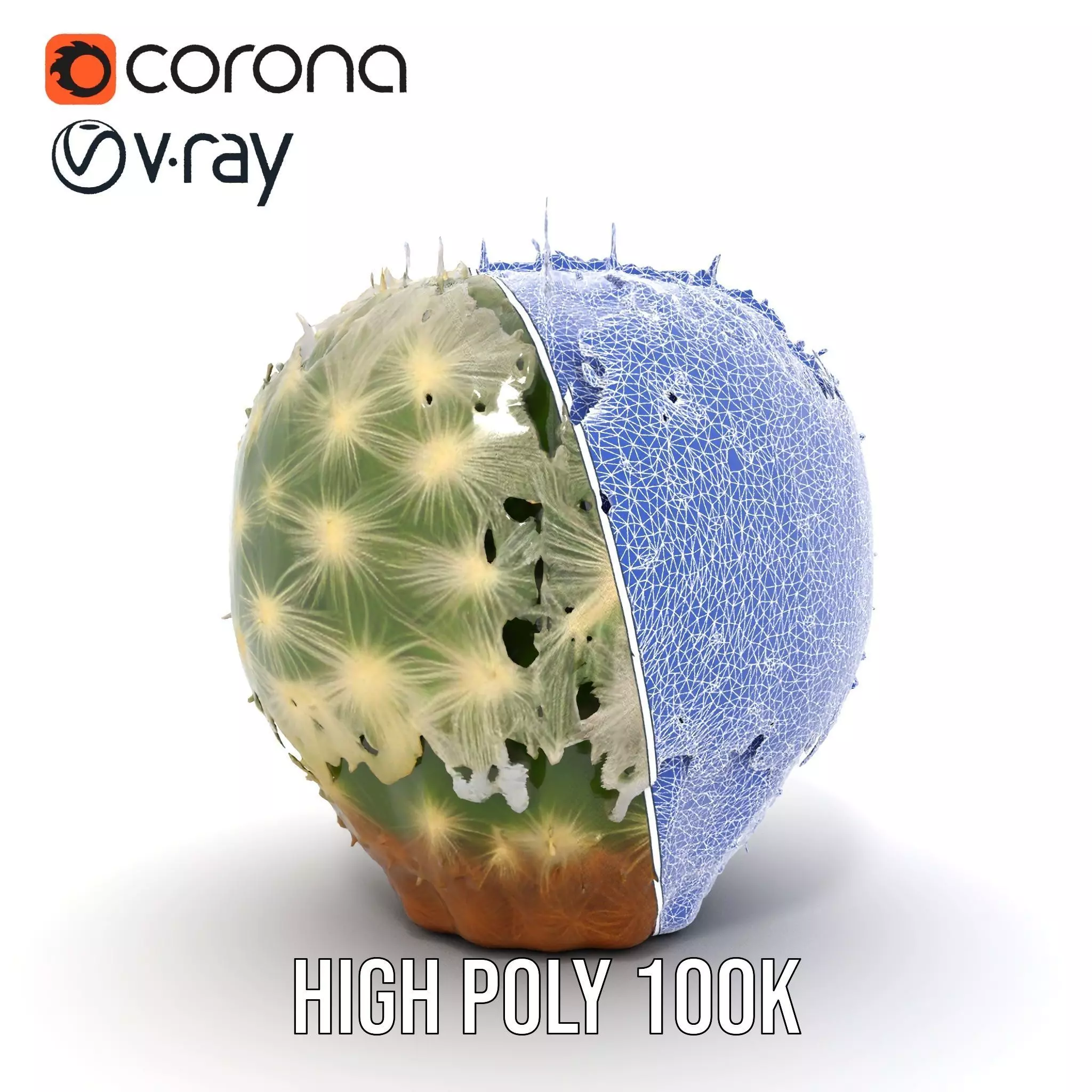 Spiky Green Cactus model pack Low-poly 3D model_34