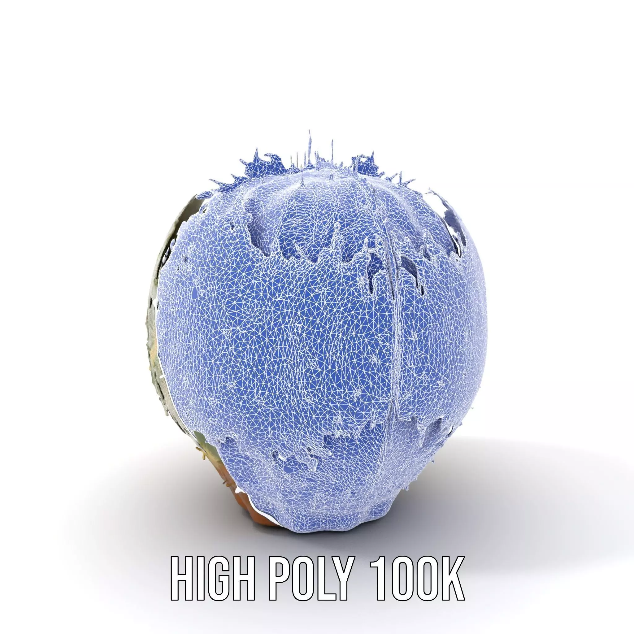 Spiky Green Cactus model pack Low-poly 3D model_4