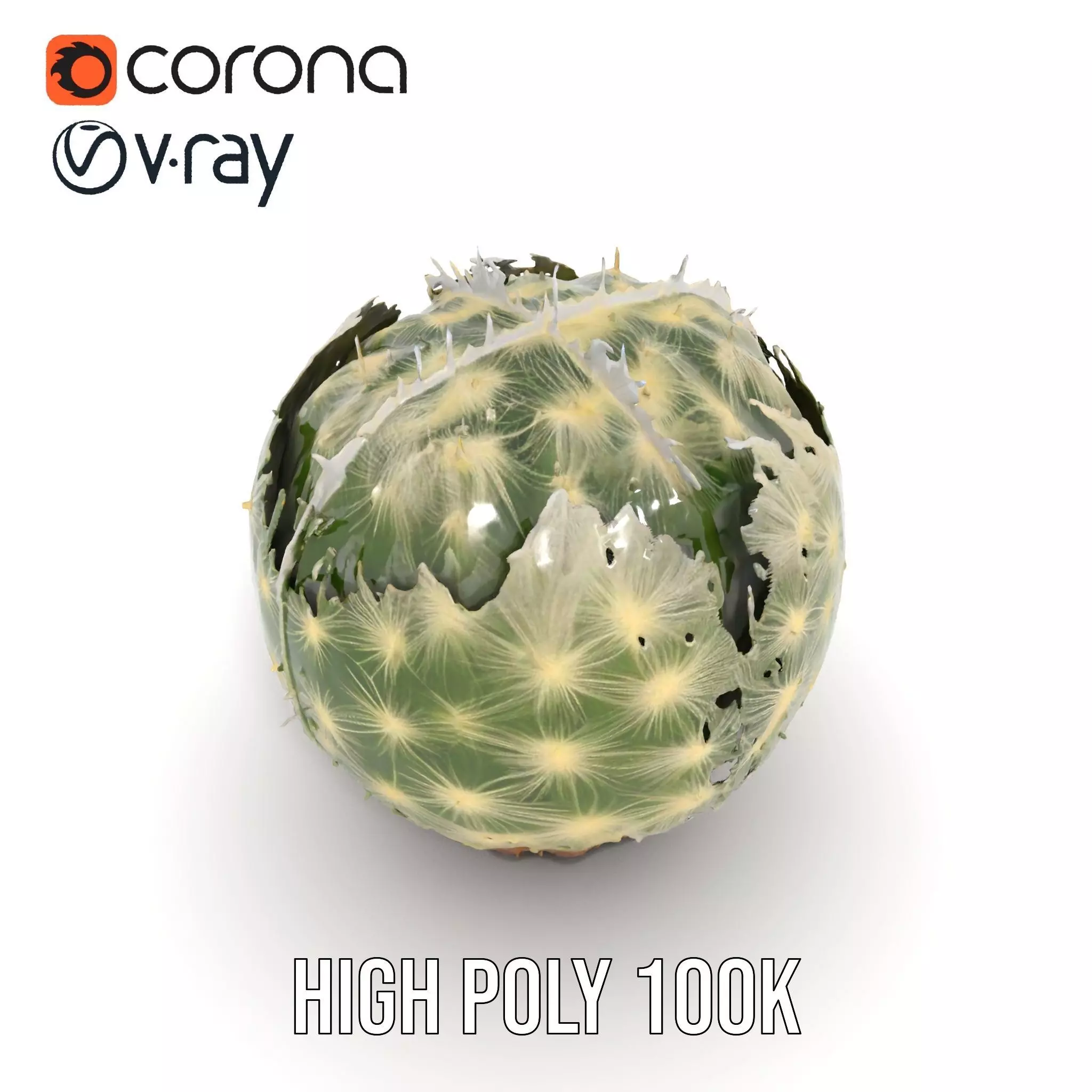 Spiky Green Cactus model pack Low-poly 3D model_12