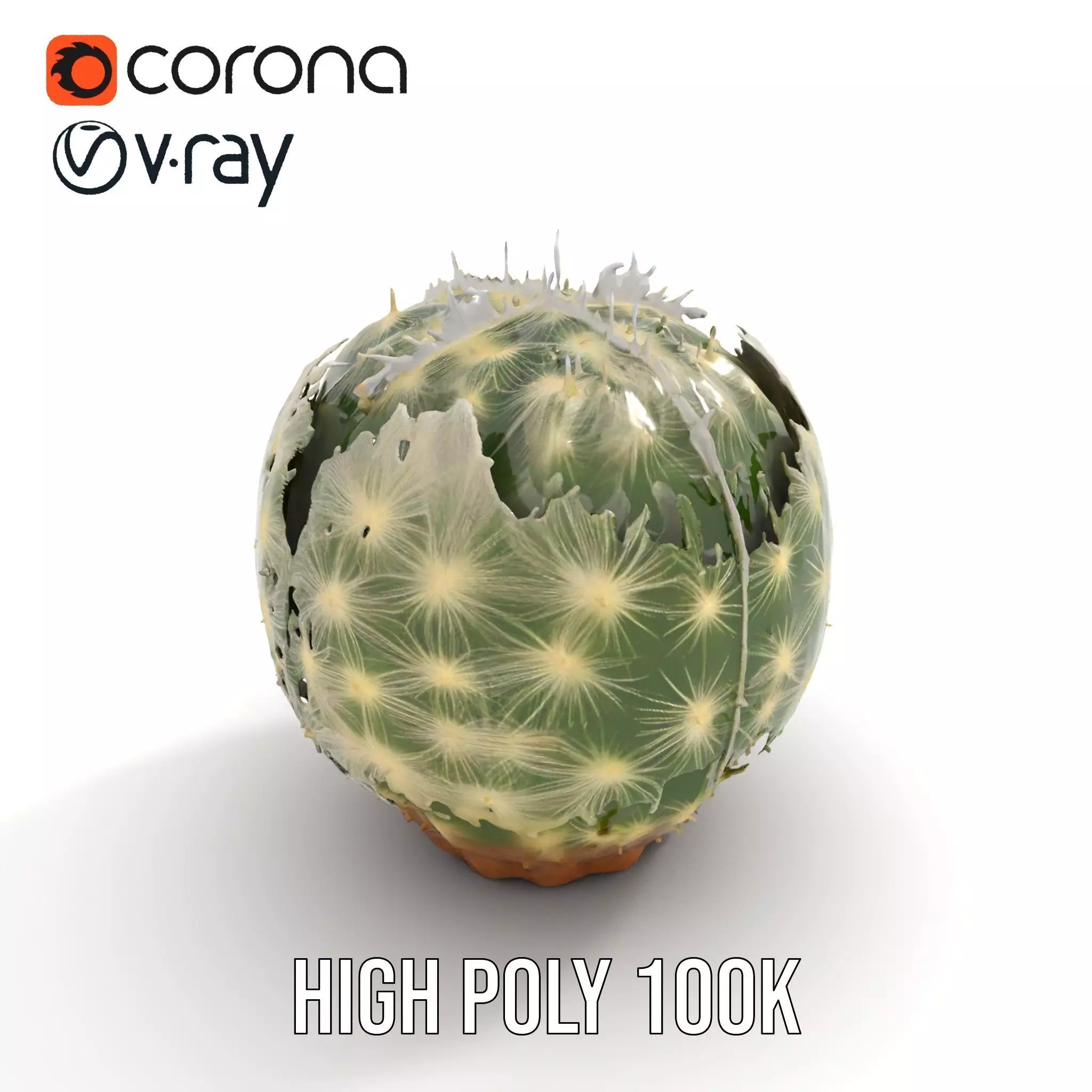 Spiky Green Cactus model pack Low-poly 3D model_17