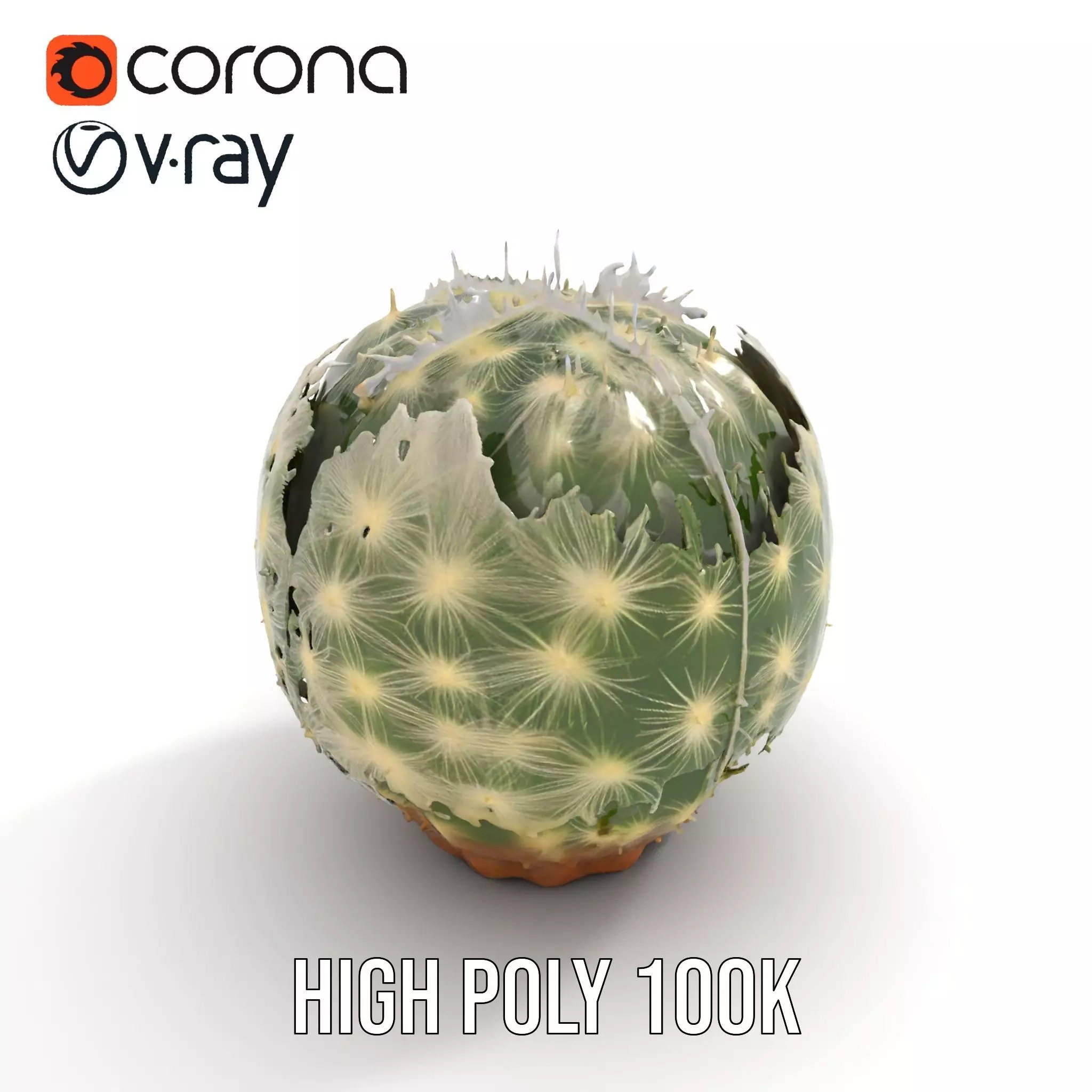 Spiky Green Cactus model pack Low-poly 3D model_20