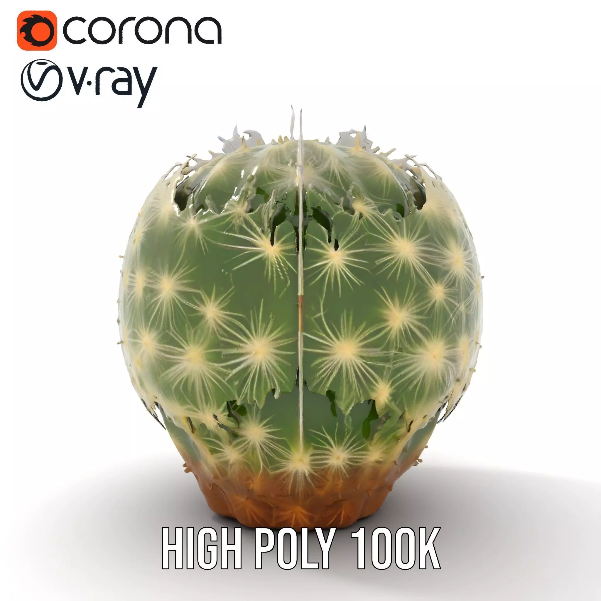 Spiky Green Cactus model pack Low-poly 3D model_6