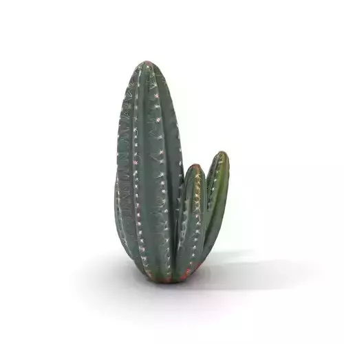 Green Desert Cactus model pack Low-poly 3D model
