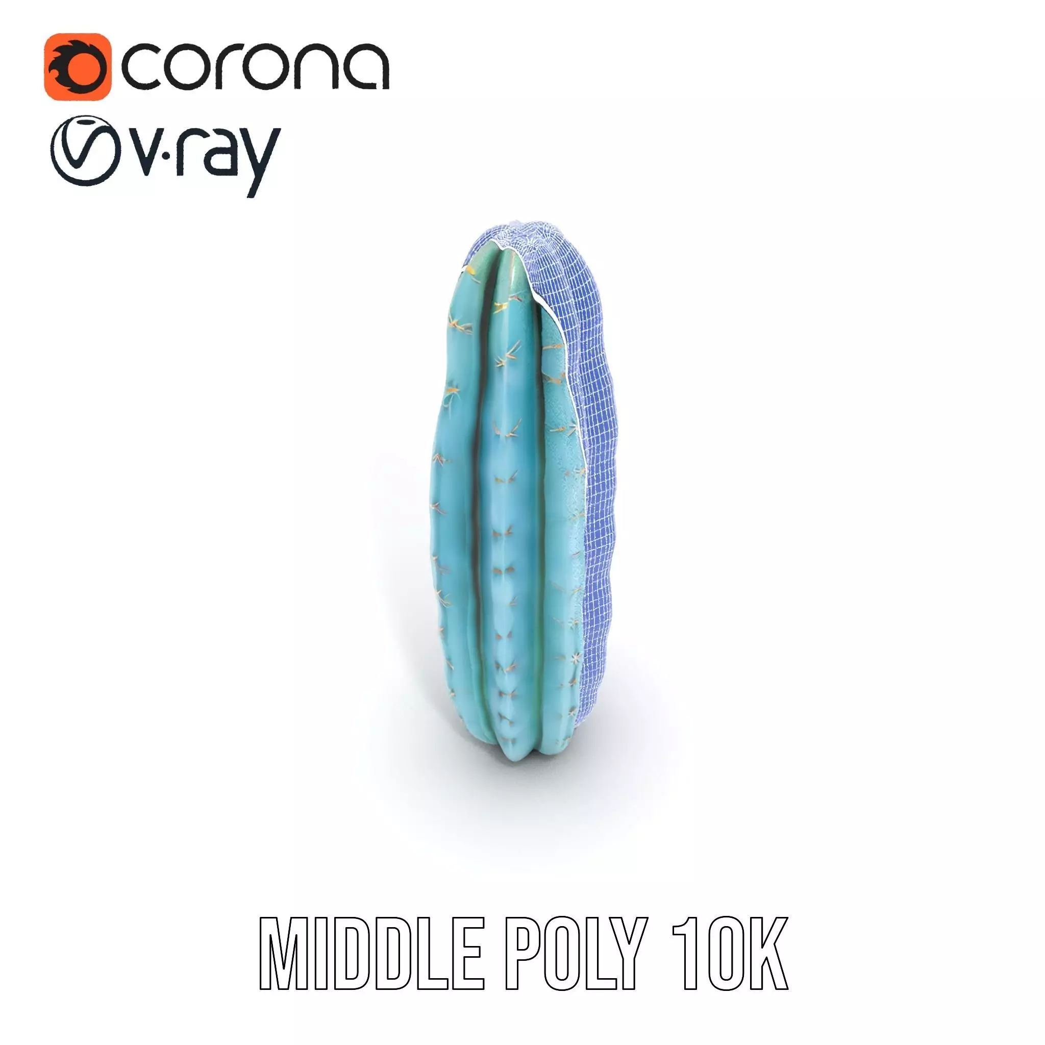 Tall Cactus Green model pack Low-poly 3D model_16