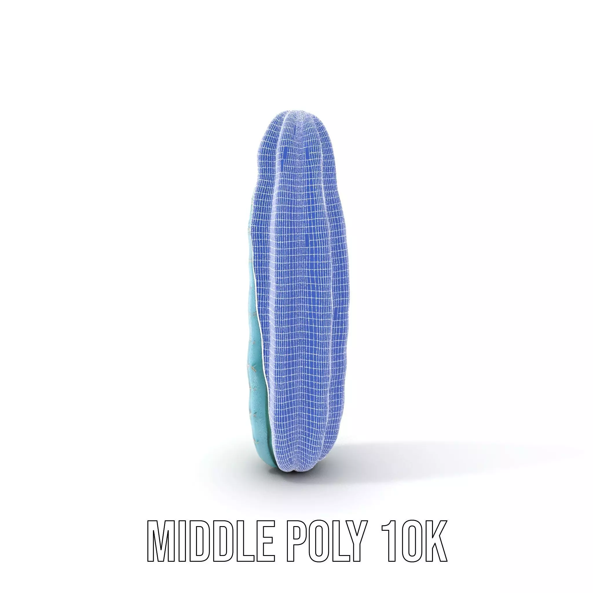 Tall Cactus Green model pack Low-poly 3D model_24