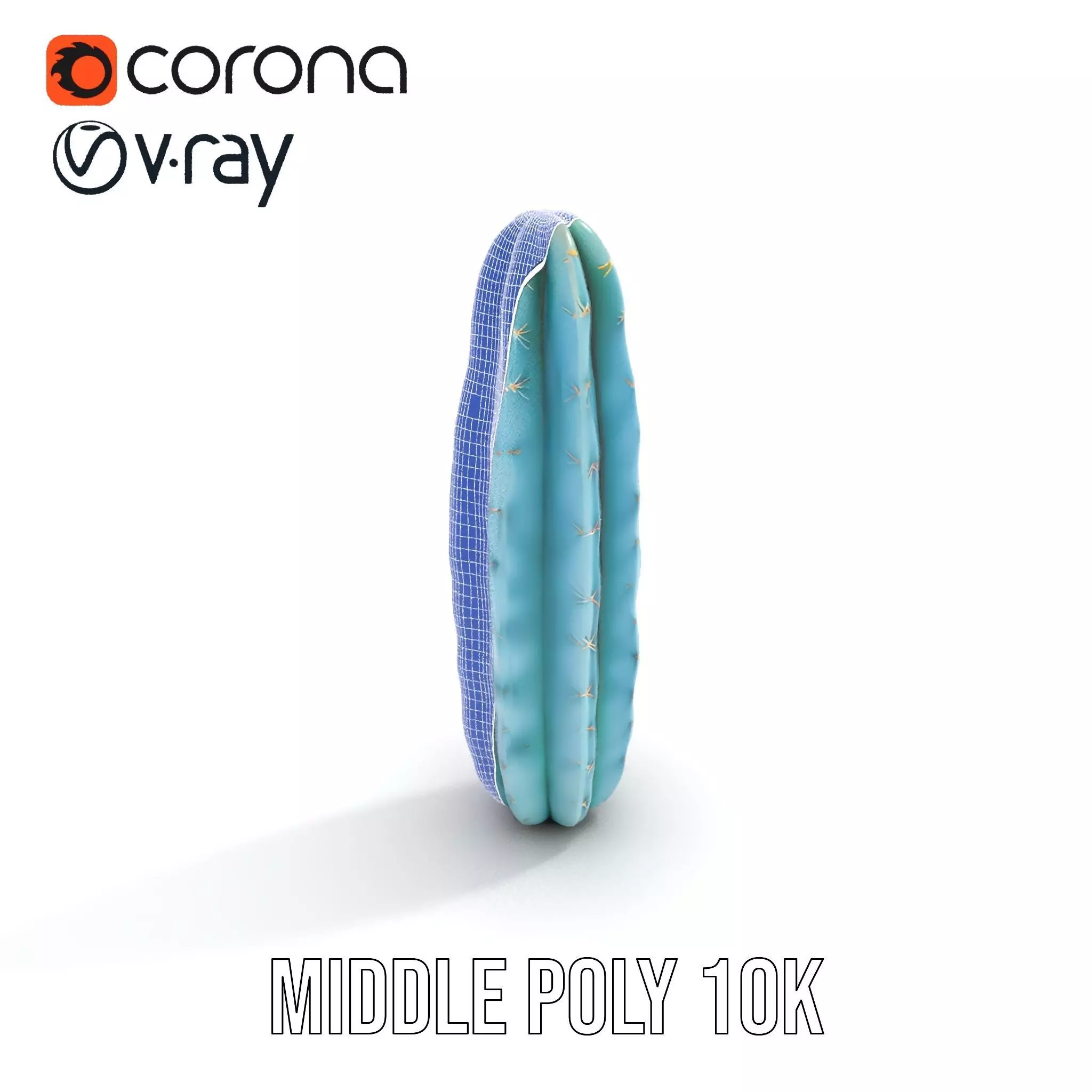 Tall Cactus Green model pack Low-poly 3D model_13