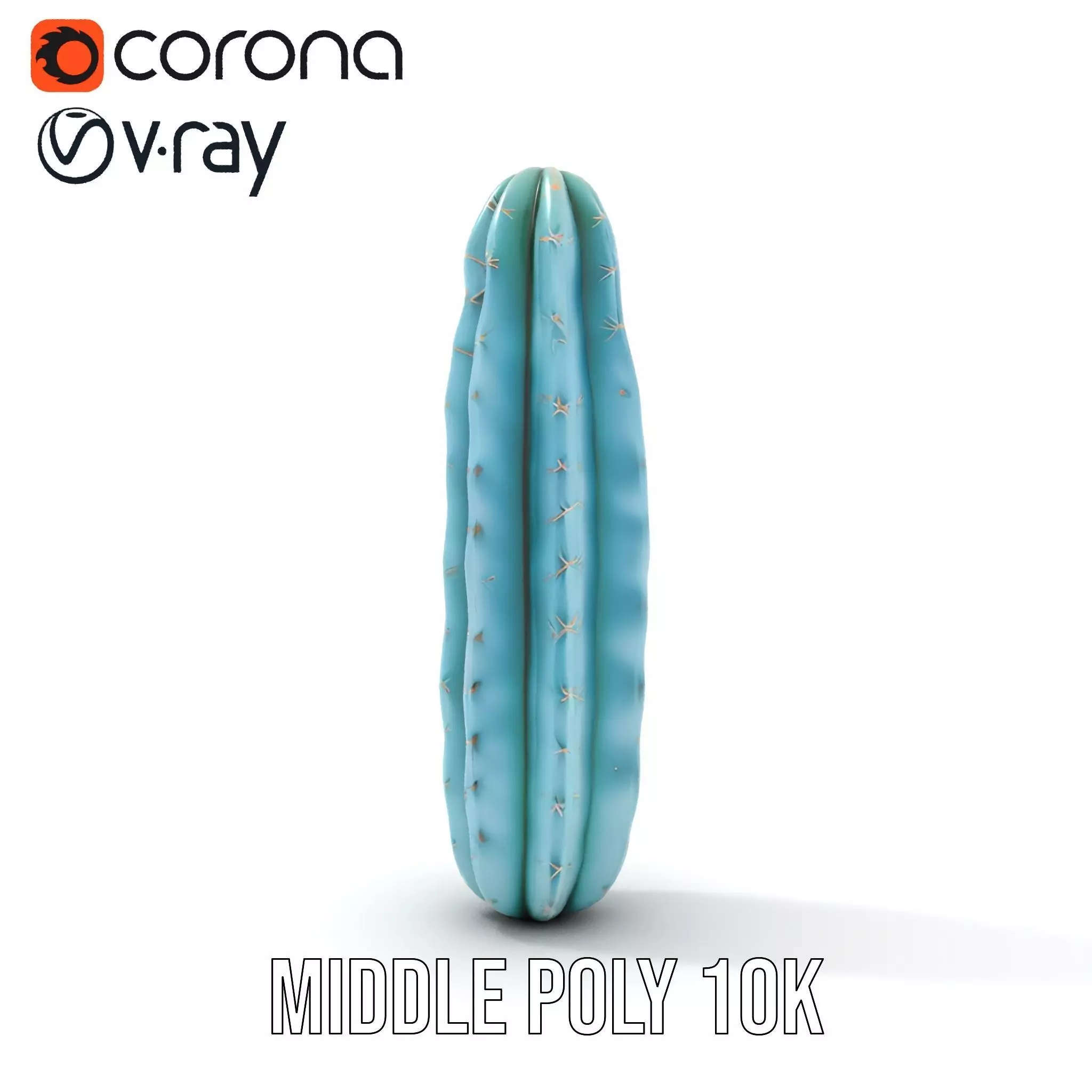 Tall Cactus Green model pack Low-poly 3D model_5