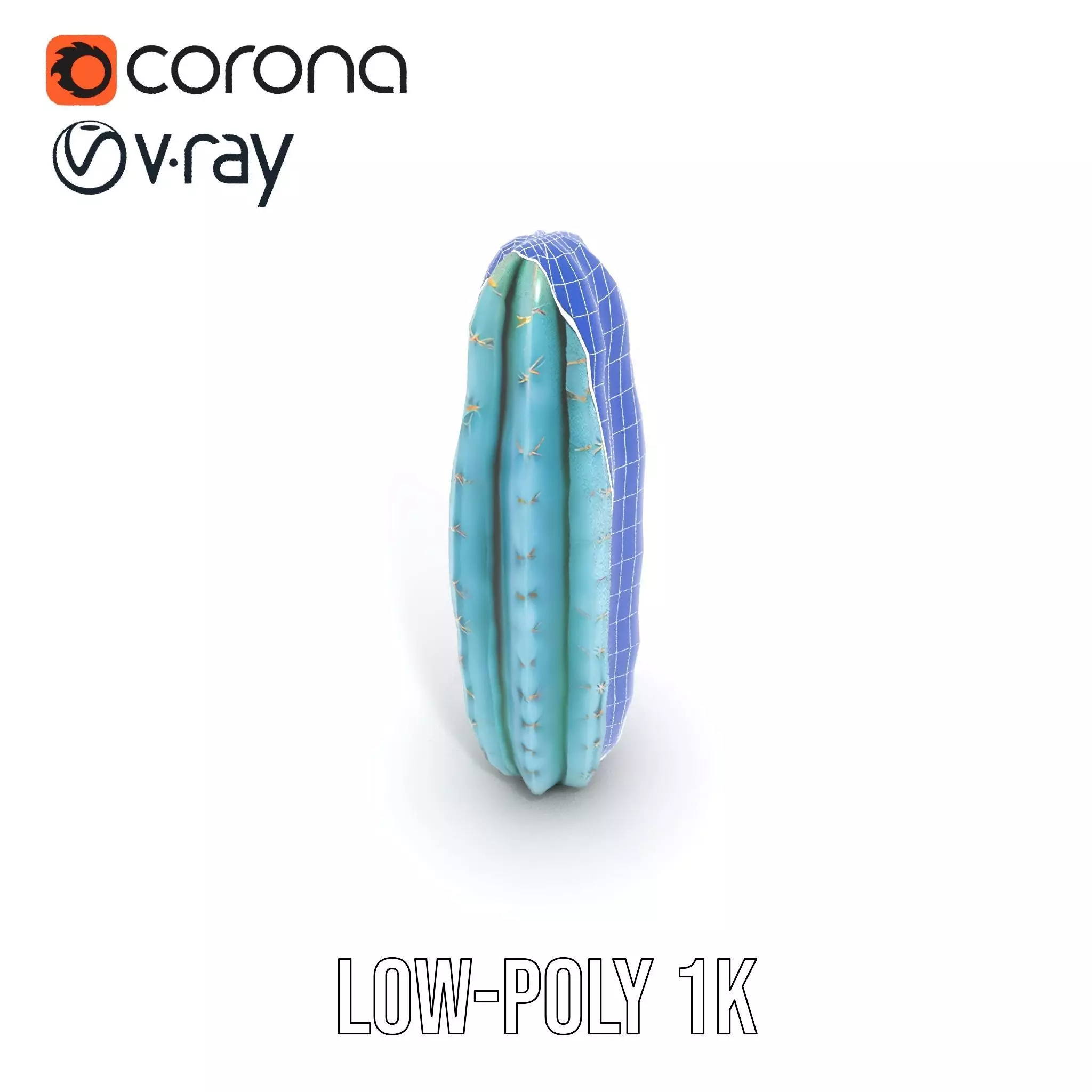 Tall Cactus Green model pack Low-poly 3D model_22