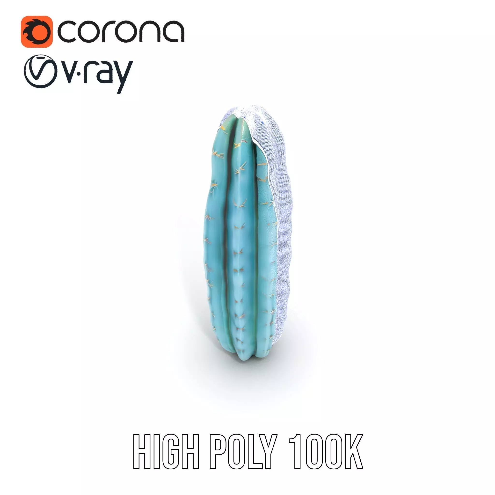 Tall Cactus Green model pack Low-poly 3D model_31