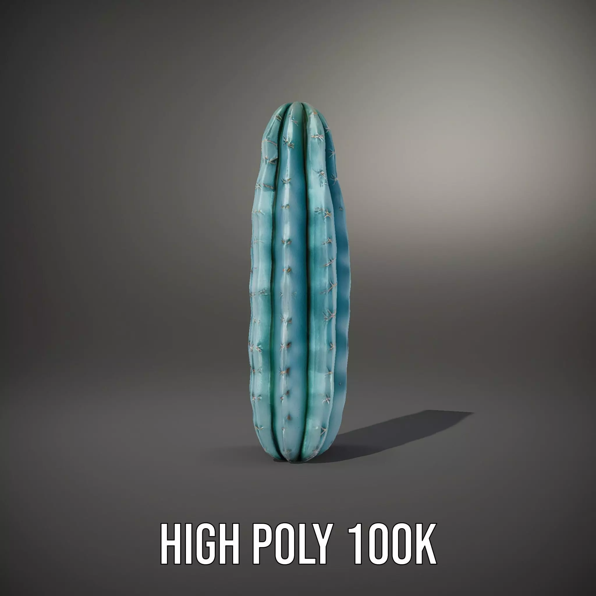 Tall Cactus Green model pack Low-poly 3D model_10