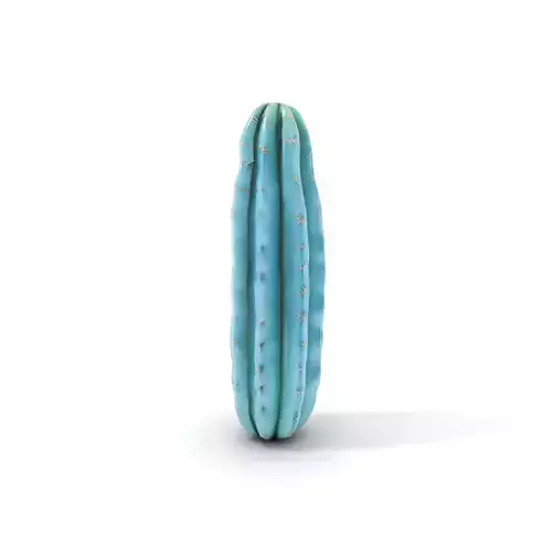 Tall Cactus Green model pack