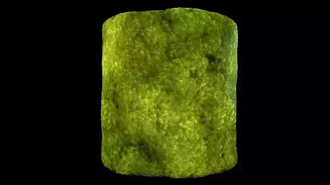 Broom Fork Moss PBR Material and  Texture