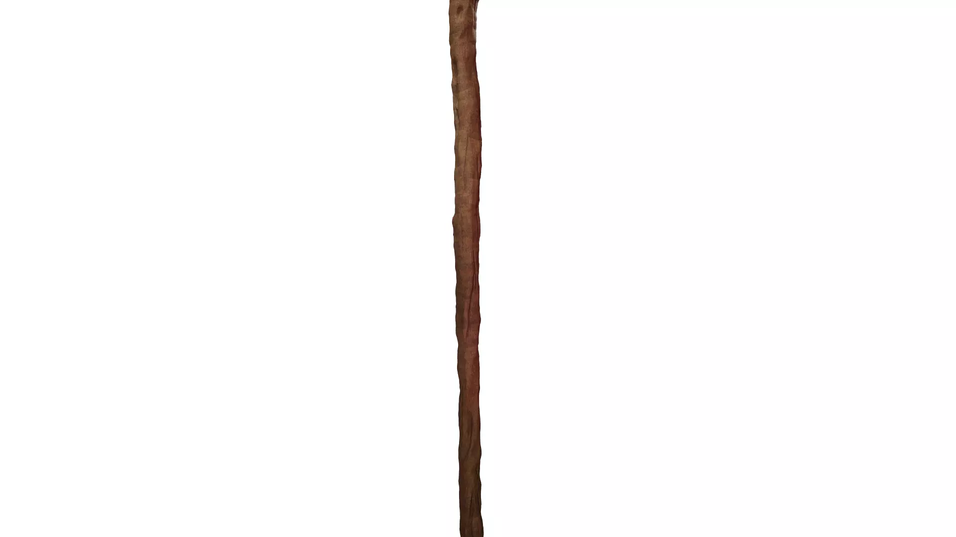 Gandalf Fellowship Staff lord of the rings 3d digital download 3D print model_5