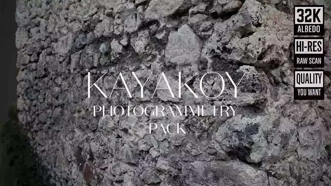 Abandoned Village Surface Scan - Stone Wall 08