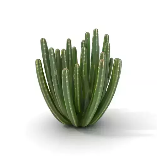 Saguaro Cactus Green model pack