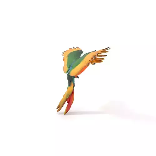 Colorful Parrot model pack Low-poly 3D model