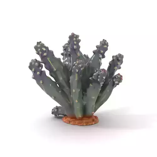 Purple Spiked Cactus model pack Low-poly 3D model