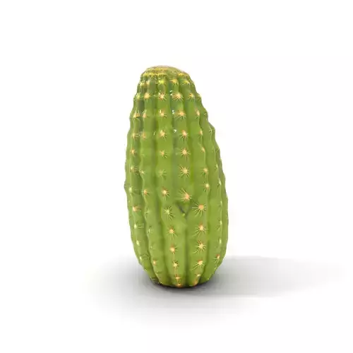 Green Cactus Texture model pack Texture