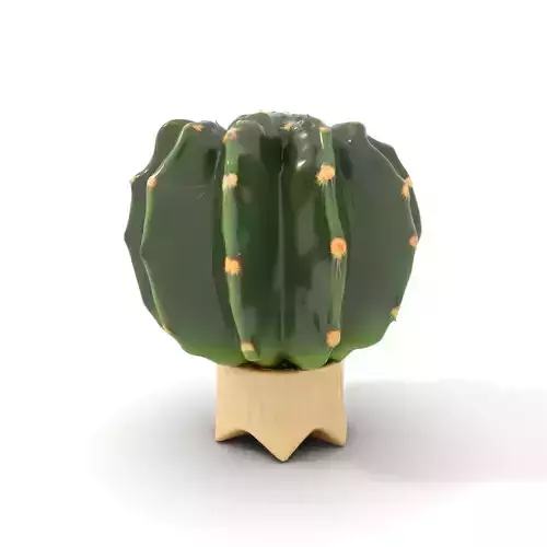 Green Cactus Decor model pack Low-poly 3D model