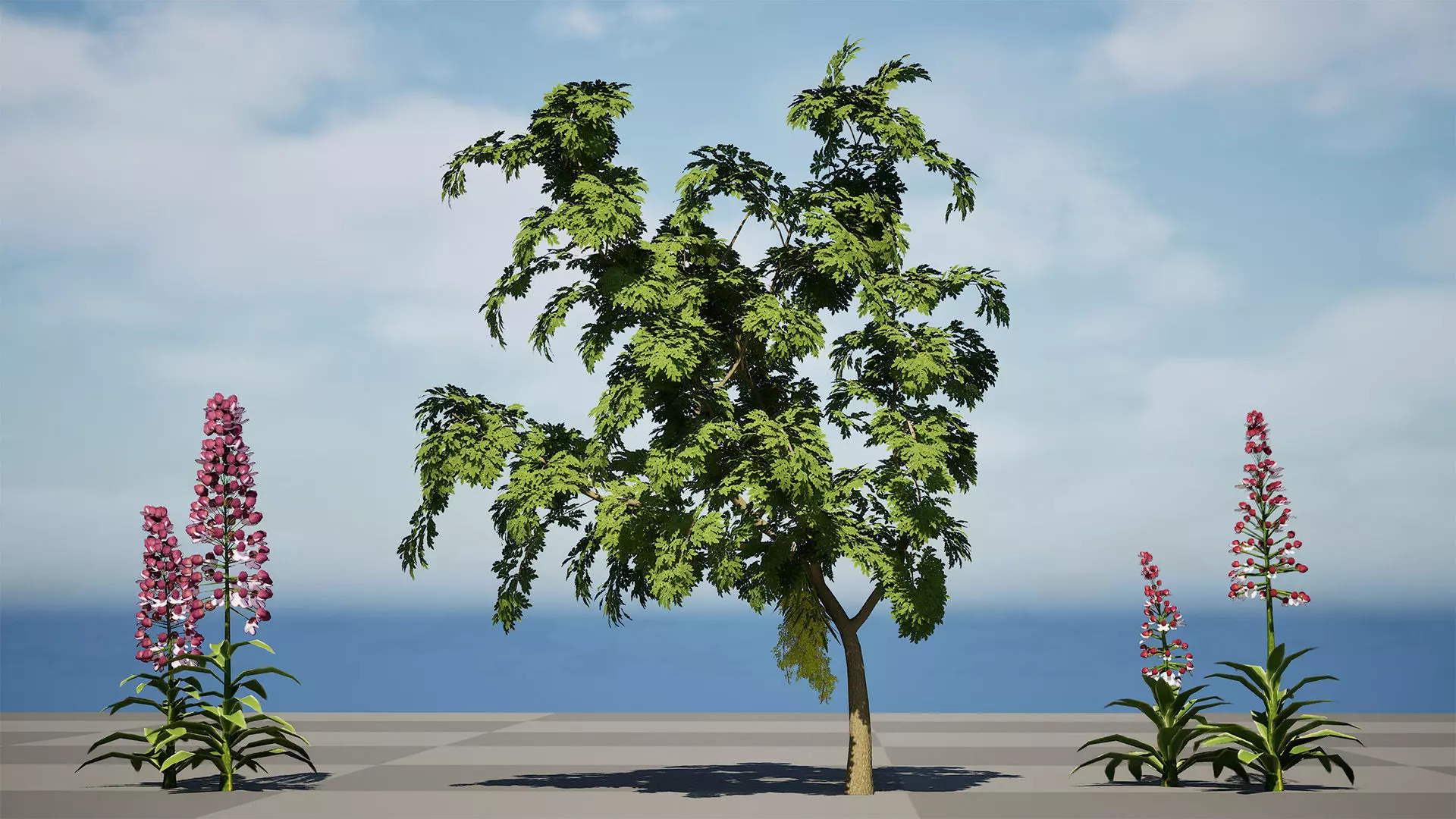 British Lady Orchid Plants Pack Low-poly 3D model_8