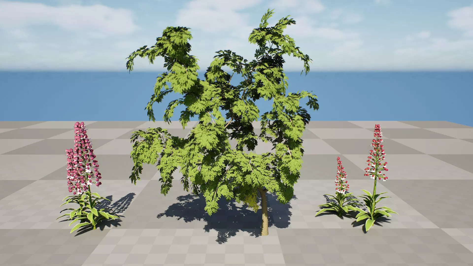 British Lady Orchid Plants Pack Low-poly 3D model_9