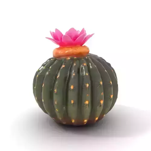 Flowering Cactus Plant model pack Low-poly 3D model