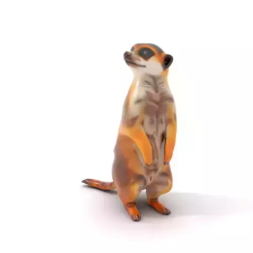 Stylish Meerkat model pack