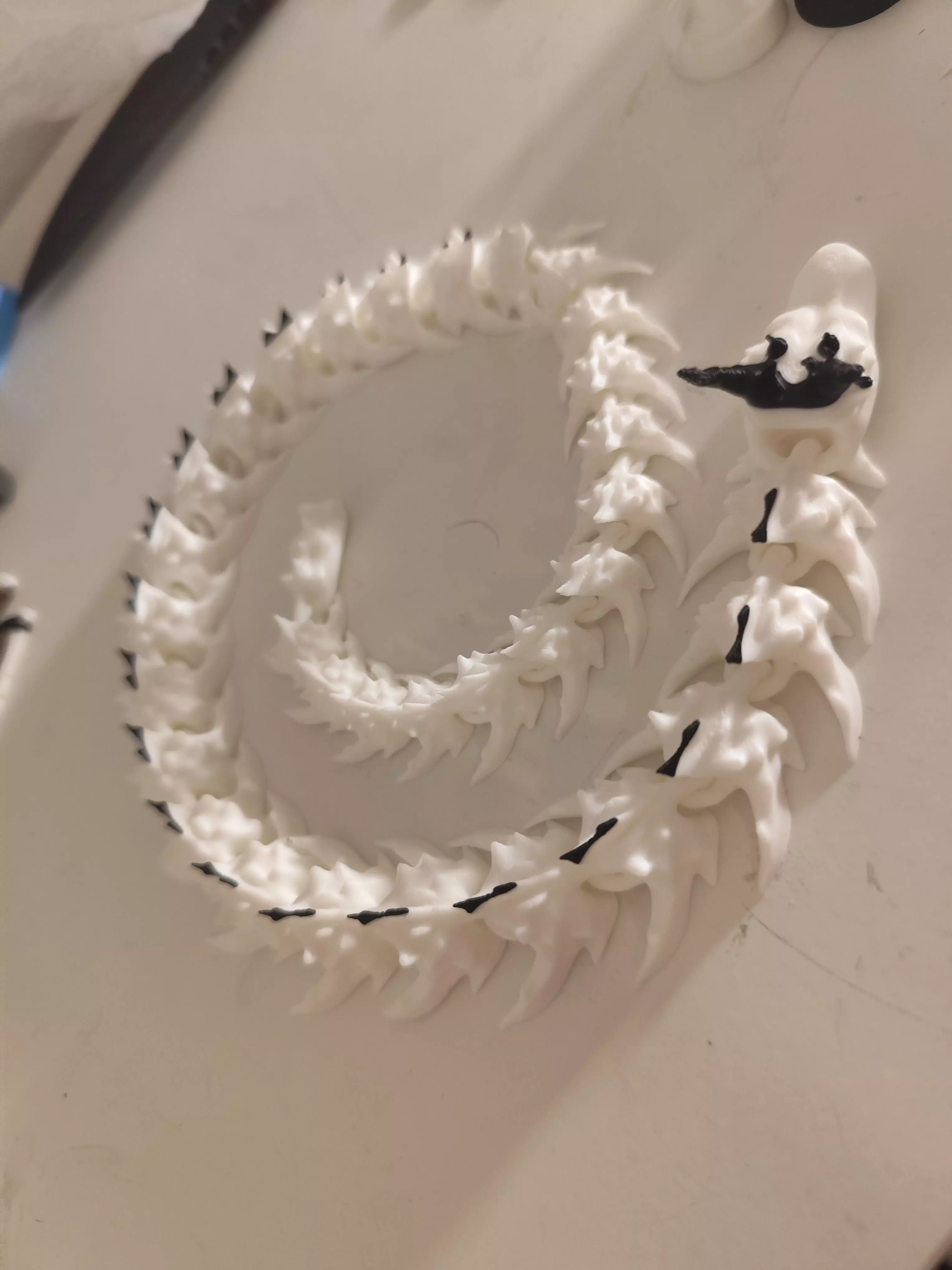 DRAGON MOLTI COLOR Free 3D print model