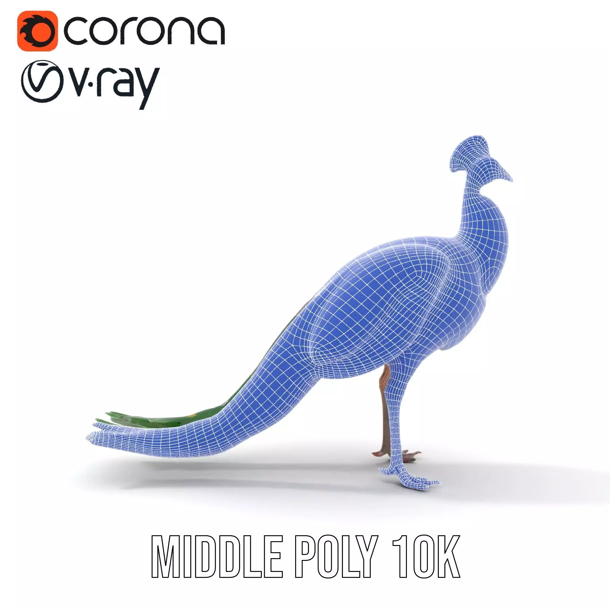 Vibrant Peacock Elegance model pack Low-poly 3D model_27