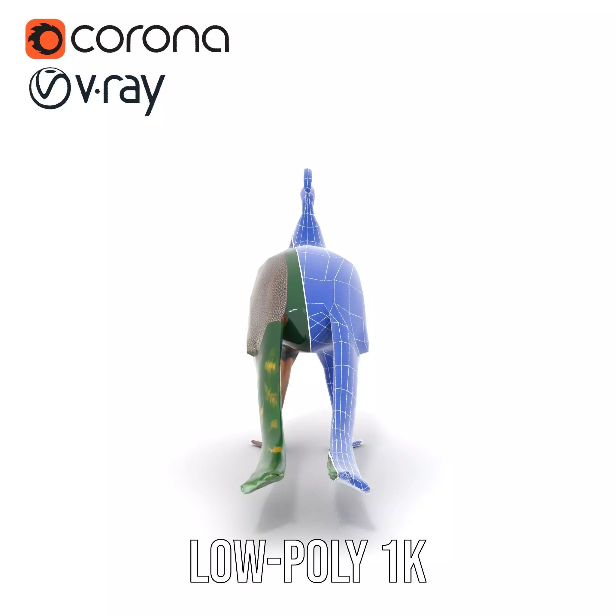 Vibrant Peacock Elegance model pack Low-poly 3D model_22